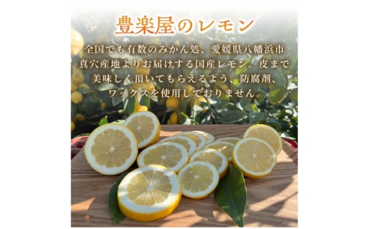＜防腐剤・ワックス不使用で安心＞真穴産地直送のレモン　5kg×2箱(S~Lサイズ)＜H98-10＞【1711283】