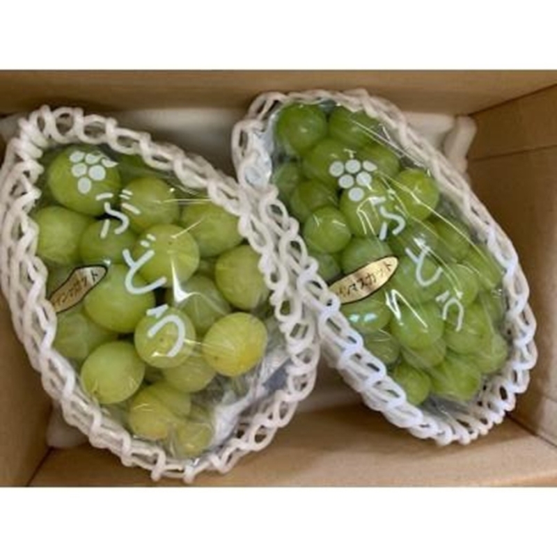 シャインマスカット3kg（4房）【2026年8月中旬～9月中旬ごろ順次発送】 ※北海道・沖縄・離島への配送不可 【ikd731A】