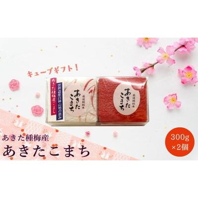 ふるさと納税 能代市 白米 あきたこまち 『300gキューブ』 ギフトセット 300g×2個 [No.5335-0203]