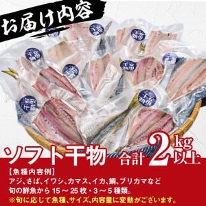 朝獲れ鮮魚で作る！魚屋さんの自家製ソフト干物！(合計2kg以上・15~25枚・3~5種類入り)アジ イワシ カマス イカ タイ ブリカマ セット 詰め合わせ ひもの 焼き魚 おかず お惣菜【YS-3】