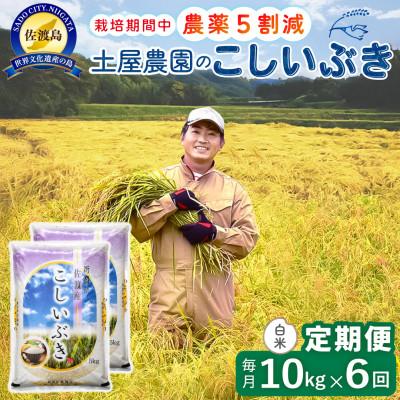 ふるさと納税 佐渡市 【毎月定期便】佐渡島産こしいぶき 白米10Kg 土屋農園 農家直送 栽培期間中農薬5割減  全6回