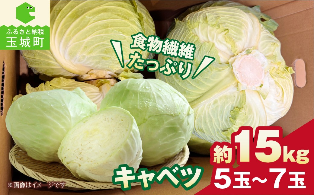 
                  【先行予約】 キャベツ 約15kg 5玉～7玉 野菜 きゃべつ 大容量 三重県 玉城町 【2026年12月上旬～2027年2月下旬頃まで順次発送予定】
                