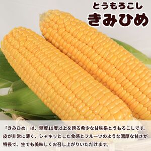 訳あり とうもろこし きみひめ 約5kg 《 2026年6月中旬から発送 》