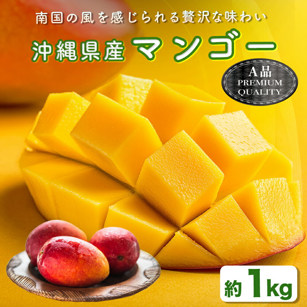 【ふるさと納税】ハナトフルーツ 沖縄県産マンゴーA品 1kg【 先行予約 2026年発送 】マンゴー 濃厚 甘い ジューシー 沖縄 うるま市 フルーツ 果物 産地直送 プレゼント 贈り物 国産 お取り寄せ