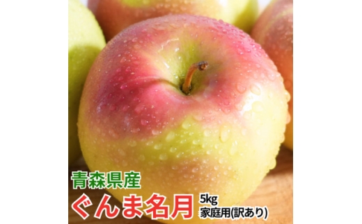 ＜26年11月から順次発送!＞青森県産 りんご ぐんま名月 約5kg 訳あり家庭用【1735213】