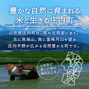 山形県庄内産 つや姫・はえぬきセット 10kg 5kg×2袋 令和7年産 2025年産 ブランド米 つや姫 はえぬき 米 国産 単一原料米 山形 庄内平野 コシヒカリの原点、亀の尾発祥の地 庄内