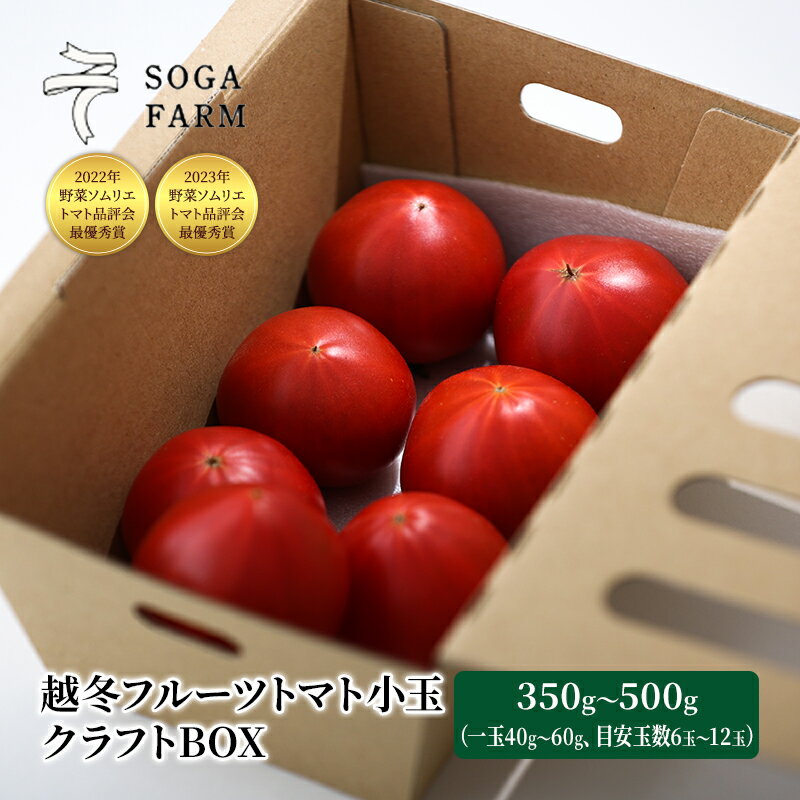 【ふるさと納税】【2024年6月発送】SOGA FARM　越冬フルーツトマト小玉　クラフトBOX 2024年 先行予約 トマト 野菜 フルーツトマト 高糖度 とまと 新潟 　お届け：2025年6月上旬～6月下旬