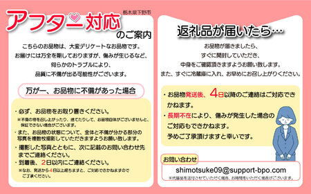 【2025年先行予約】日本一のいちご生産量を誇るJAはが野が厳選 とちあいか平パック4P