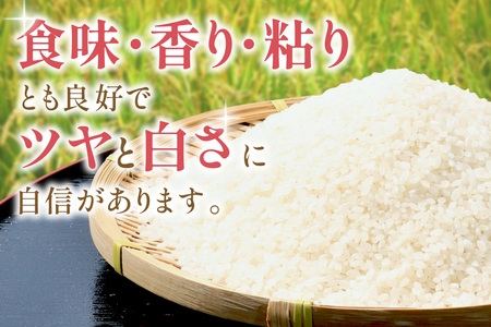 【令和7年産】【定期便】石見産きぬむすめ　1年分（5kg×12回コース）定期便 12回 白米 玄米 特産品 ごはん  きぬむすめ 贈答 贈り物 ギフト お中元 お歳暮 【058_1838】