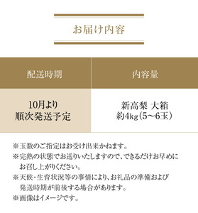 【ふるさと納税】【配送不可地域：北海道・沖縄県・離島】数量限定！平和農園 新高梨 大箱（5～6玉）＜約４kg＞