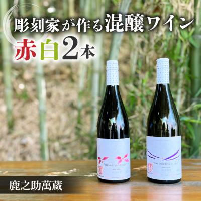 ふるさと納税 東御市 【鹿之助萬蔵】彫刻家がつくる赤白ワイン2種飲み比べ(2本)