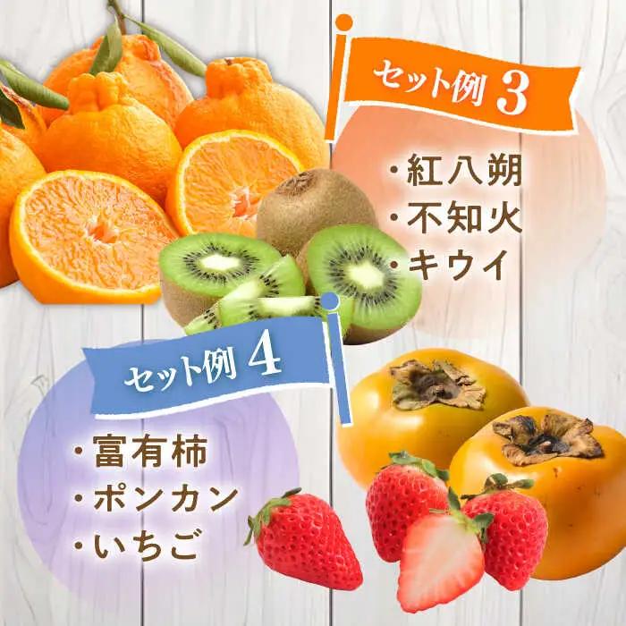 【4回定期便】旬フルーツ定期便 旬の果物をお任せで3品目お届け フルーツ定期便 [SCZ020]
