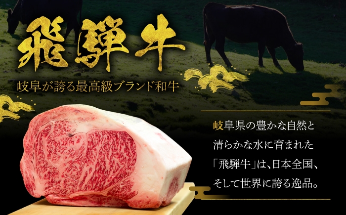 飛騨牛 サイコロステーキ 霜降り 赤身 牛肉 和牛 国産 牛 ブランド牛