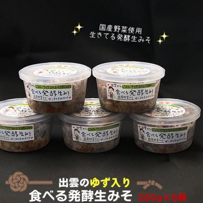 ふるさと納税 出雲市 出雲のゆず入り食べる発酵生みそ250g×5個