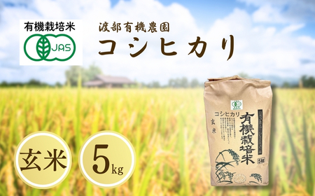 JAS有機米 コシヒカリ 玄米 5kg | 令和7年産 渡部有機農園