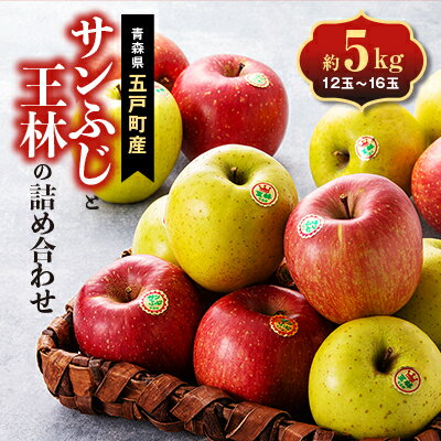 【ふるさと納税】五戸のサンふじと王林の詰め合わせ 約5kg【配送不可地域：離島・沖縄県・九州】【1358683】
