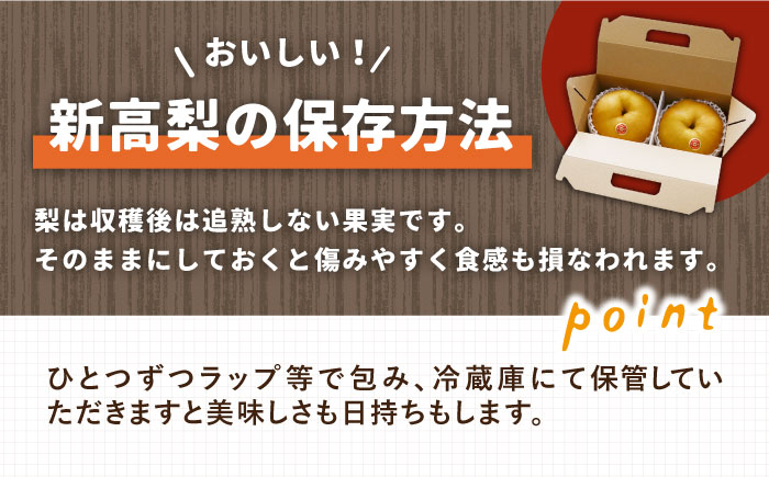 先行予約！【2025年9月〜発送】【シャリッと食感がたまらない！】新高梨 2玉 / 梨 なし  南島原市 / ふるさと企画 [SBA007]