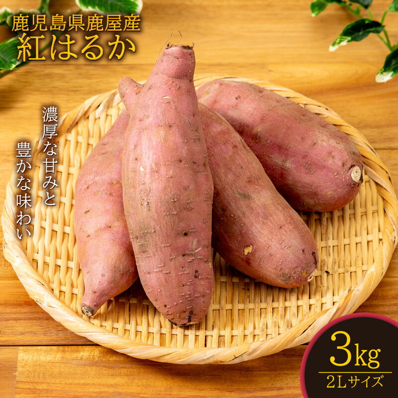 【ふるさと納税】＜選べる容量＞ さつまいも 紅はるか 鹿児島 生芋 2L 3kg ～ 9kg べにはるか 美味しい さつま芋 生 サツマイモ 土付き 芋 生いも 蜜芋 焼き芋 しっとり 食感 大学芋 干し芋 天ぷら スイートポテト お菓子 スイーツ 鹿屋市 期間限定 財宝 おすすめ ランキング