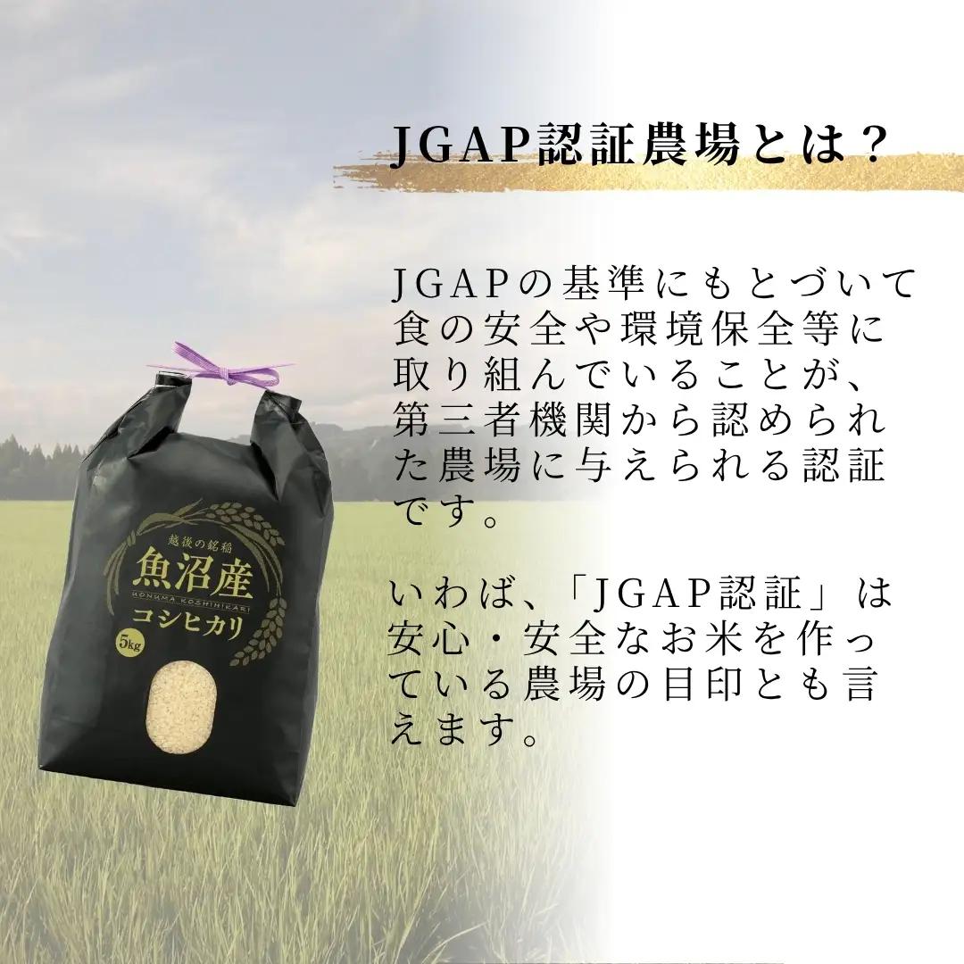 魚沼産コシヒカリ 精米15kg うちがまき絆 | 新潟県 魚沼 令和7年