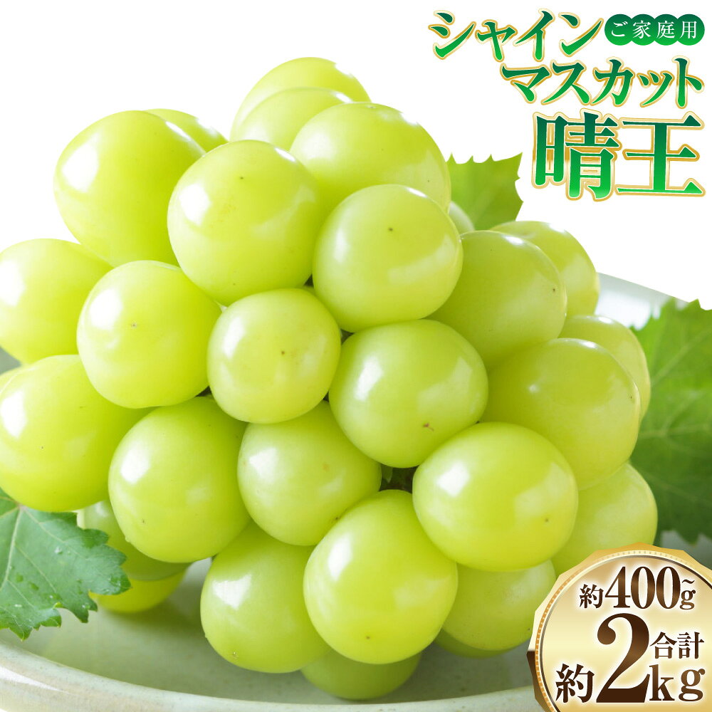 【ふるさと納税】ご家庭用 シャインマスカット 晴王 選べる 約400g 約800g 約1.5kg 約2kg 岡山県産 ブランド マスカット ぶどう 葡萄 訳あり 大粒 種なし 皮ごと 高糖度 甘い 1房 2房 3~6房 果物 くだもの フルーツ 冷蔵 岡山県 奈義町【2026年8月下旬～11月下旬迄発送】