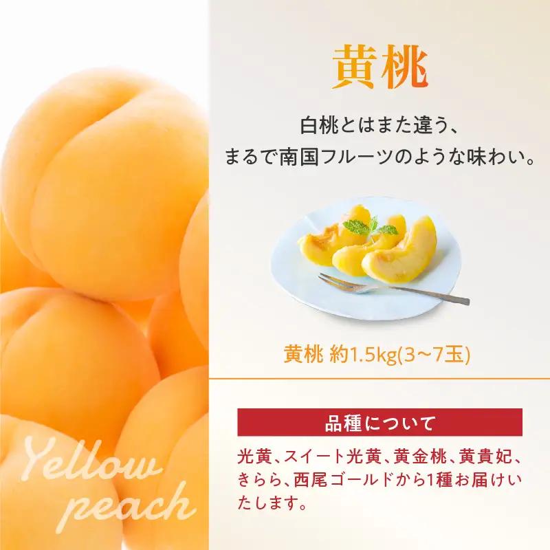 《先行受付》白桃と黄桃詰合せ3kg【2026年8月頃より順次発送予定】 060-016