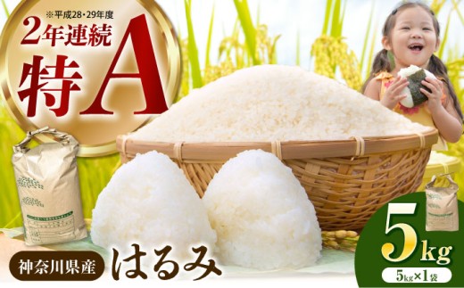 【令和7年産】はるみ 白米 5kg 1袋 【井上農園】 米 お米 白米 米 精米 白米 はくまい こめ はるみ 精米 ブランド米 国産 おこめ 精米 R7 ご飯 ごはん 神奈川県 開成町産 【特Aランク受賞実績あり！】  [BDBB002]