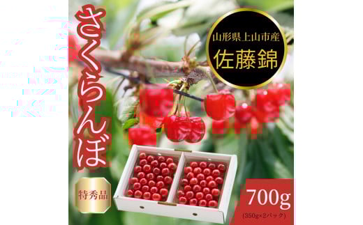 さくらんぼ（佐藤錦）７００ｇ　特秀品　0055-2503