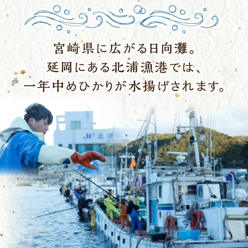 延岡産めひかり無頭小サイズ500g×2袋 N0184-YA2268