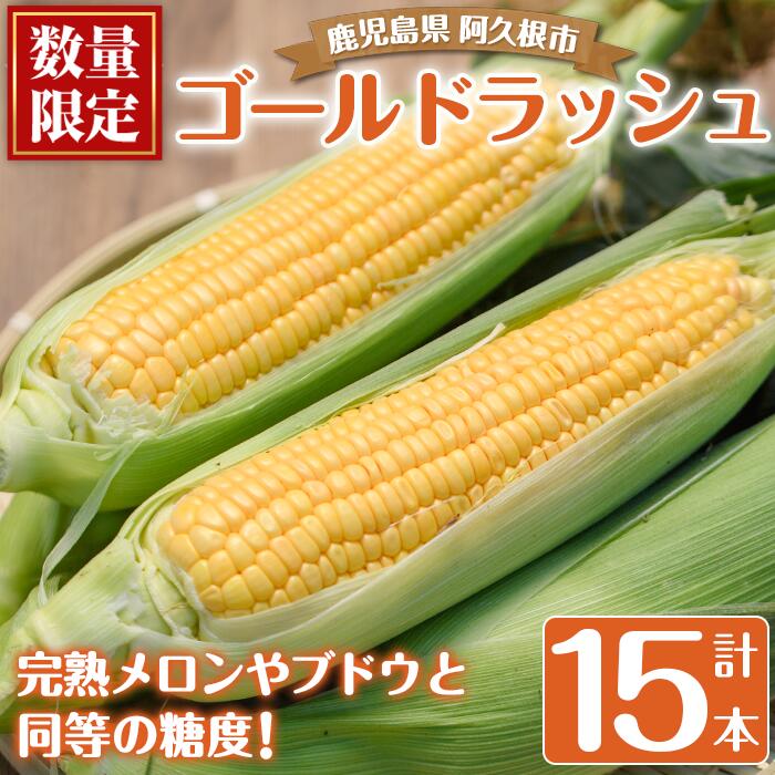 【ふるさと納税】＜先行予約受付中！2025年5月下旬以降順次発送＞厳選摘果！とうもろこし(15本・品種・ゴールドラッシュ)国産 旬 野菜 青果 トウモロコシ 厳選 高糖度 冷蔵 期間限定 数量限定【春田幸一】a-12-243-z