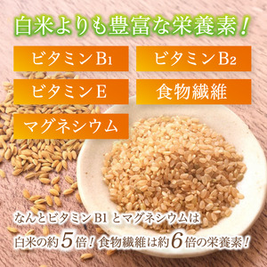 特別栽培米 竹炭米 玄米 コシヒカリ 5kg ： お米 米 玄米