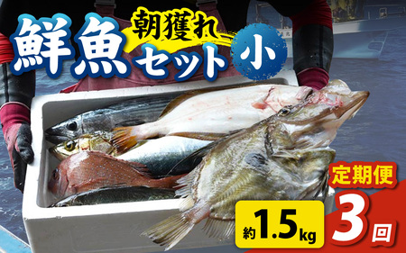 【3回お届け】【朝獲り】 鮮魚セット (小) 3種類以上 約1.5kg | 魚 詰め合わせ 鮮魚ボックス 漁港直送 鮮魚