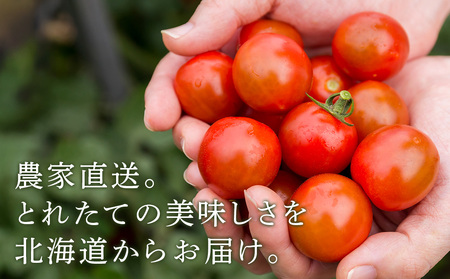 【2026年発送】〈萬福農研〉産地直送！ミニトマト(プレミアムルビー) 1kg