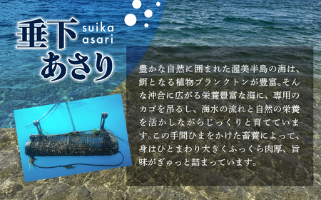 【先行予約】どでかい！垂下あさり 1kg サイズ 特大 あさり ブランドあさり 浅利 ダシ 出汁 味噌汁 国産 アサリ 愛知県 田原市 新鮮 砂抜き 海鮮 魚介類 魚介 貝 人気 パスタ などに