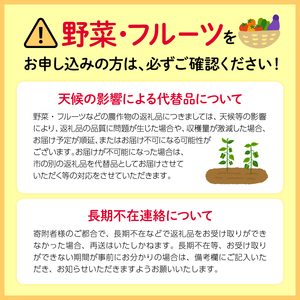 【先行予約】 2026年度産 みかん  早生 みかん 6kg  10月下旬発送