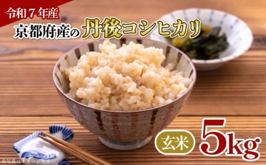 【令和7年産 】京都府産 丹後コシヒカリ 玄米 5kg お米 5キロ 米 こめ 国産 ブランド米 取り寄せ 京都 ごはん コシヒカリ こしひかり 2025年度 JA JA京都 京都府産 京都府