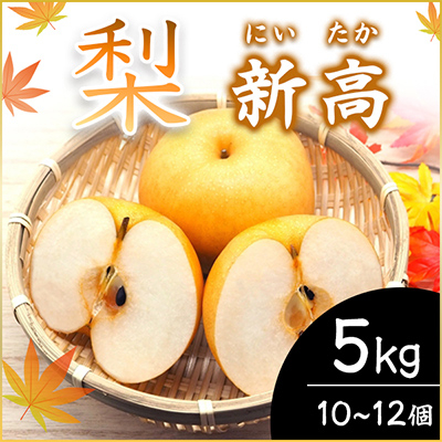 
            ＜2025年10月上旬より順次発送予定＞新高　5kg　10～12個(県内共通返礼品:石岡市産) (BR017)
          