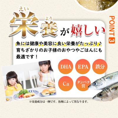 ふるさと納税 佐伯市 < 訳あり > 大分県産 ひもの屋さんの 白身魚 フライ (計1.2kg・10切×3袋) |  | 03