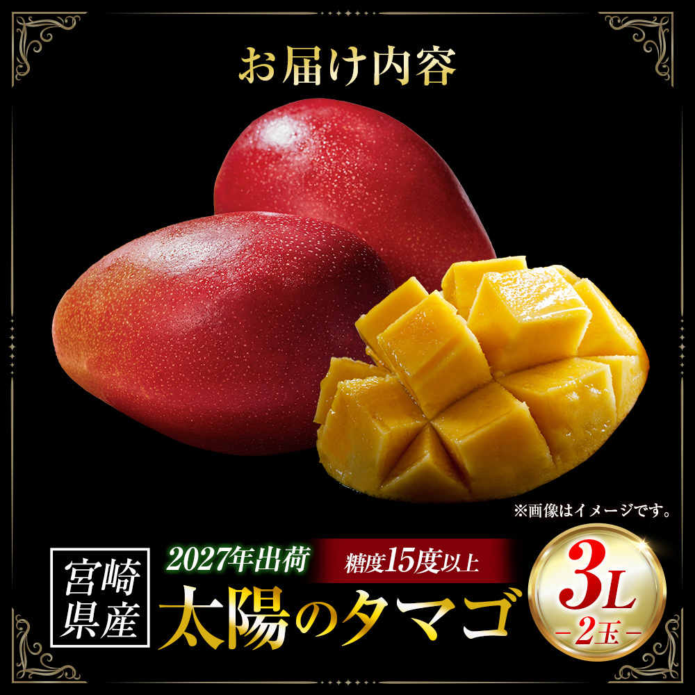 【令和9年発送 先行予約】完熟マンゴー「太陽のタマゴ」 3L×2玉（フルーツ マンゴー 完熟マンゴー アップルマンゴー 果物 くだもの  宮崎）