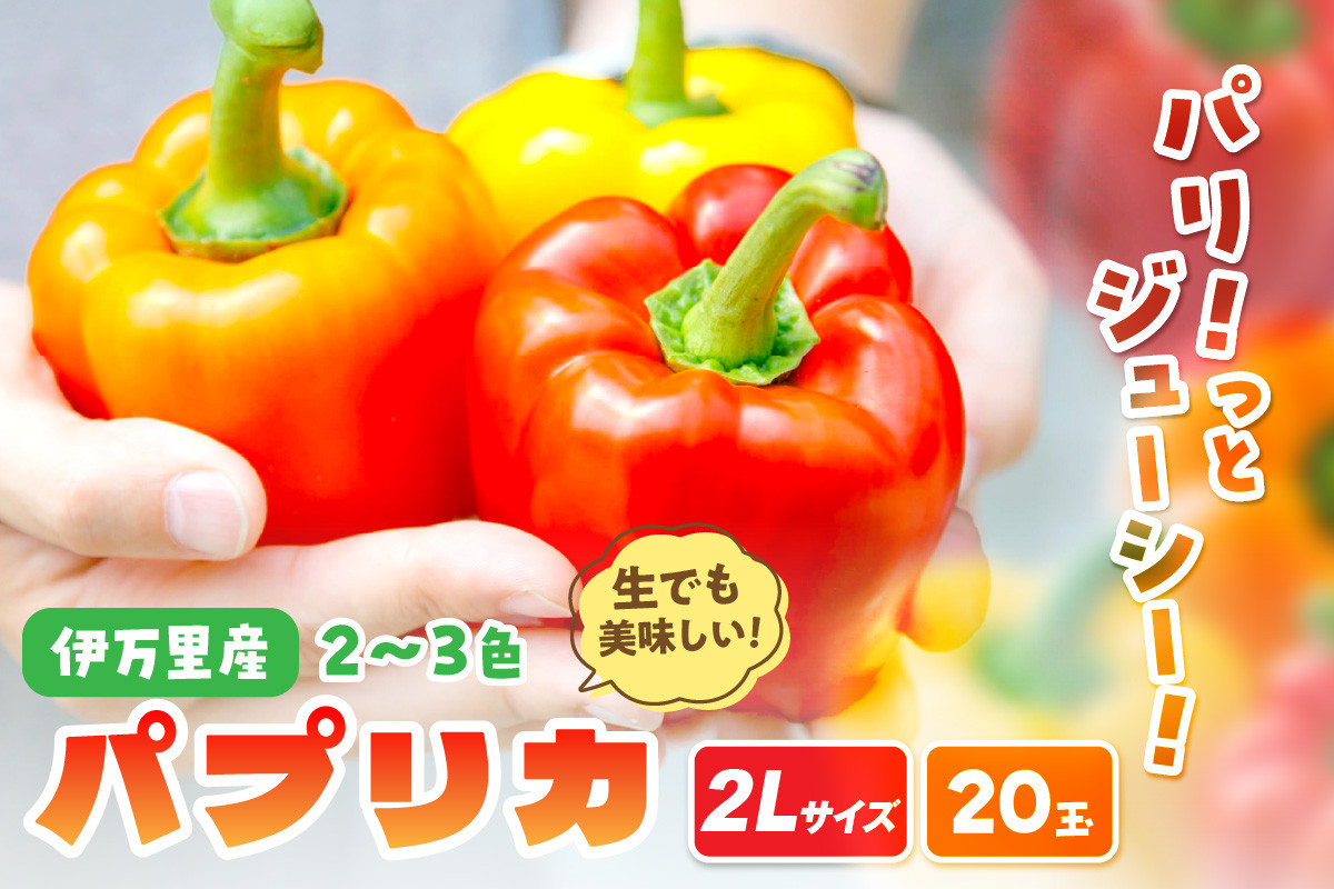 
伊万里産 肉厚ジューシー パプリカ 2L サイズ 20玉入 B595
