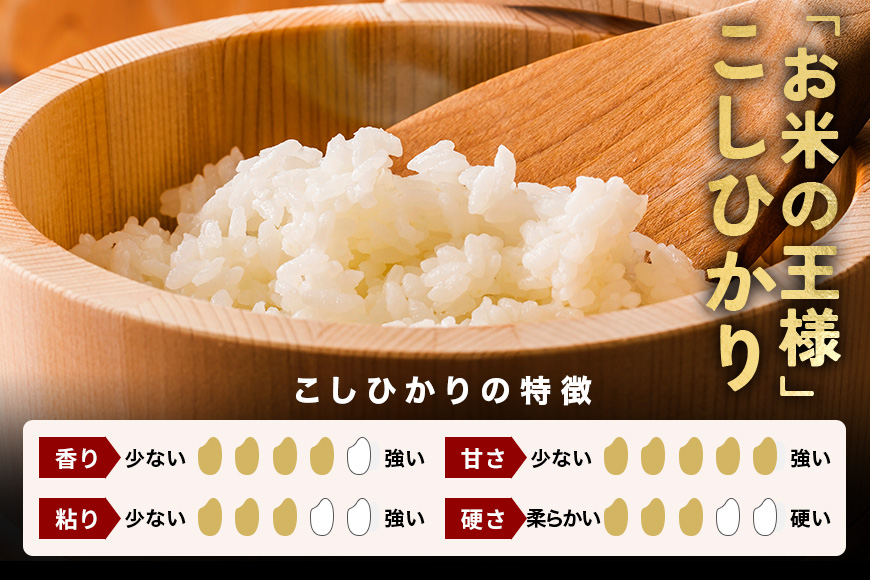 【3ヶ月定期便】令和7年産 新米 コシヒカリ 米 10kg (5kg×2袋) 計30kg 白米 こめ こしひかり 国産 国産米 取り寄せ ごはん ご飯 コメ お取り寄せ お弁当 弁当 おにぎり 産地直