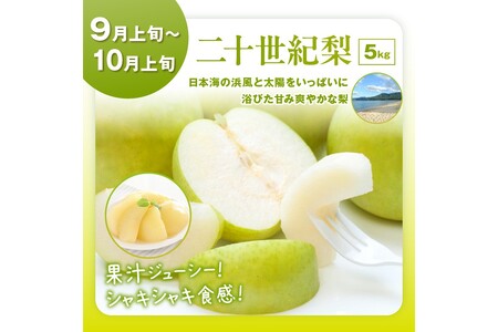 【先行予約／4回定期便】京丹後フルーツ定期便（2026年2月中旬～発送）