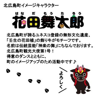 ふるさと納税 北広島町 北広島町イメージキャラクター花田舞太郎キッチンスポンジ4ケ入 |  | 03