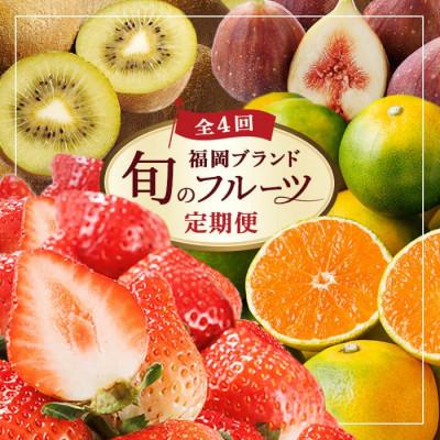 ふるさと納税 春日市 【発送月固定定期便】福岡ブランド果実を楽しむ。季節のご褒美フルーツ!(春日市)全4回 | 