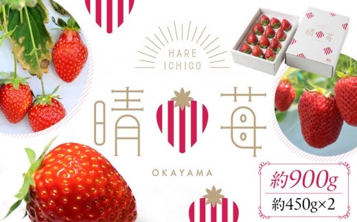 苺（はれいちご）約950g（450g×2）【数量限定50セット】【岡山県産 苺 晴れ いちご フルーツ 果物 くだもの 新鮮 おすすめ 人気】
