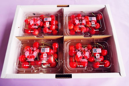 【2026年発送】さくらんぼ紅秀峰720g（M玉以上・180g×4パック詰）_H224(R8)