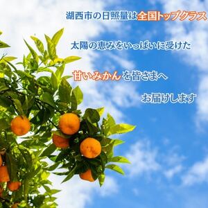 【先行受付】【11月上旬より順次出荷予定】早生みかん約10kg サイズミックス〔鈴木農園〕【1510106】