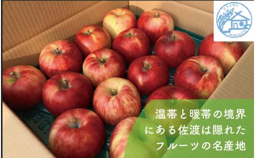 【令和8年産】佐渡産りんご「ふじ」5kg（13～18玉）ミライサト | 新潟県産りんご 新潟産りんご 佐渡産りんご 佐渡島産りんご ふじ フジ りんご リンゴ 林檎 アップル フルーツ 果物 くだもの