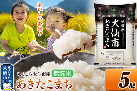 米 あきたこまち【無洗米】米どころ秋田県大仙市産 令和7年産 精米 5kg（5kg×1袋）