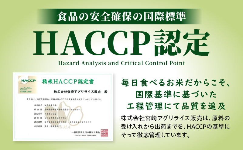 【2～7営業日以内に発送予定】国産ブレンド米 「米一膳」10kg お米 米 ご飯 炭水化物 主食 精米