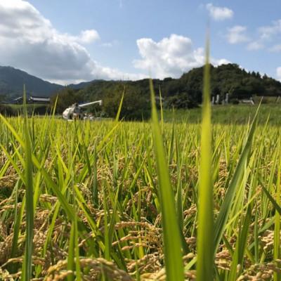 ふるさと納税 三木町 【令和6年産】香川県三木町産ひのひかり10kg　≪IDOMALLセレクト≫ |  | 01